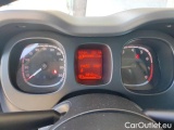  Fiat  Panda 1.0 FireFly 70cv S&S Hybrid #12
