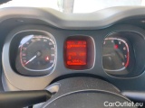  Fiat  Panda 1.0 FireFly 70cv S&S Hybrid #13