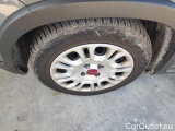  Fiat  Panda 1.0 FireFly 70cv S&S Hybrid #14