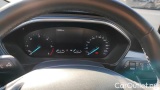  Ford  Focus 1.5 Ecoblue 120cv Business SW #13