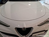  Alfa Romeo   STELVIO ALFA ROMEO / 2017 / 5P / SUV 2.2 TD 160 CV SUPER BUSINESS AT8 RWD (AUTOCARRO) #26