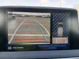  Land Rover  Discovery PEUGEOT 3008 / 2020 / 5P / todoterreno 1.5 BlueHDi 96kW (130CV) S&S Active Pack #14
