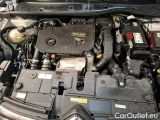  Citroen  C4 1.5 BLUEHDI 130 S&S FEEL PACK BUS AUTO #16