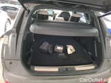  DS  DS7 1.6 E-TENSE GRAND CHIC AUTO 4WD #14
