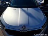  Skoda  Karoq 2.0 TDI 116 DSG7 BUSINESS #41