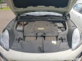  Porsche  Cayenne 3.0 V6 E-HYBRID AUTO #25
