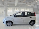 Fiat  Panda FIAT  / 2011 / 5P / BERLINA 1.2 69CV E6 EASY #8