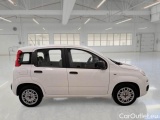  Fiat  Panda FIAT  / 2011 / 5P / BERLINA 1.0 FIREFLY 70CV SeS HYBRID #7