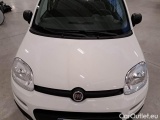  Fiat  Panda FIAT  / 2011 / 5P / BERLINA 1.0 FIREFLY 70CV SeS HYBRID #22