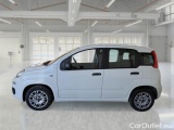  Fiat  Panda FIAT  / 2011 / 5P / BERLINA 1.2 69 CV EASYPOWER E6D-TEMP EASY #8