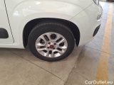  Fiat  Panda FIAT  / 2011 / 5P / BERLINA 1.2 69CV SeS E6D-TEMP LOUNGE #20