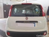  Fiat  Panda FIAT  / 2011 / 5P / BERLINA 1.2 69CV SeS E6D-TEMP LOUNGE #68