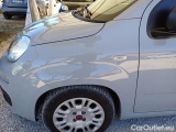  Fiat  Panda FIAT  / 2011 / 5P / BERLINA 1.0 FIREFLY 70CV SeS HYBRID #60