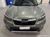  Subaru  Forester SUBARU  / 2019 / 5P / SUV 2.0 E-BOXER STYLE AUTO #24