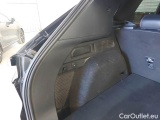  Ford  Kuga FORD  / 2019 / 5P / SUV 2.5 BENZINA FHEV 190CV AWD ST-LINE X AUT #122