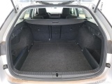 Skoda  Octavia  Break Business 2.0 TDI 115CV BVM6 E6d #10