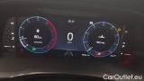  Skoda  Octavia 2.0 TDI EVO 110KW EXECUTIVE DSG #13