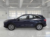  Ford  Kuga FORD  / 2019 / 5P / SUV 1.5 ECOBLUE 120CV 2WD TITANIUM AUTO #8