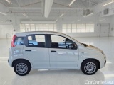  Fiat  Panda FIAT  / 2011 / 5P / BERLINA 1.0 70CV SeS HYBRID #7