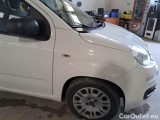  Fiat  Panda FIAT  / 2011 / 5P / BERLINA 1.0 70CV SeS HYBRID #41