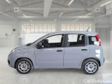  Fiat  Panda FIAT  / 2011 / 5P / BERLINA 1.0 FIREFLY 70CV SeS HYBRID #8