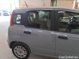  Fiat  Panda FIAT  / 2011 / 5P / BERLINA 1.0 FIREFLY 70CV SeS HYBRID #29