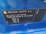  Skoda  KAMIQ -SUV (NW4) (2019)  1.5TSI 110 Style AT #10