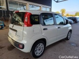  Fiat  Panda FIAT  / 2011 / 5P / BERLINA 1.0 FIREFLY 70CV SeS HYBRID #2