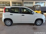  Fiat  Panda FIAT  / 2011 / 5P / BERLINA 1.0 FIREFLY 70CV SeS HYBRID #7