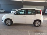  Fiat  Panda FIAT  / 2011 / 5P / BERLINA 1.0 FIREFLY 70CV SeS HYBRID #8