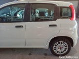  Fiat  Panda FIAT  / 2011 / 5P / BERLINA 1.0 FIREFLY 70CV SeS HYBRID #62