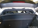  Fiat  500 FIAT X / 2018 / 5P / CROSSOVER 1.3 MJET 95CV E6D SPORT #110