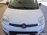  Fiat  Panda FIAT  / 2011 / 5P / BERLINA 1.2 69CV SeS E6D-TEMP EASY #24