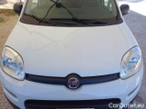  Fiat  Panda FIAT  / 2011 / 5P / BERLINA 1.2 69CV SeS E6D-TEMP EASY #26