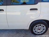  Fiat  Panda FIAT  / 2011 / 5P / BERLINA 1.2 69CV SeS E6D-TEMP EASY #94
