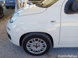  Fiat  Panda FIAT  / 2011 / 5P / BERLINA 1.2 69CV SeS E6D-TEMP EASY #104