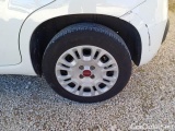  Fiat  Panda FIAT  / 2011 / 5P / BERLINA 1.2 69CV SeS E6D-TEMP EASY #114