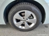  Skoda  Octavia SKODA  WAGON / 2020 / 5P / STATION WAGON 2.0 TDI EVO 85KW EXECUTIVE #17