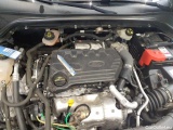  Ford  Focus Turnier 1.5 EcoBlue Start-Stopp-System Aut. TITANIUM Automatic Diesel  19 #31