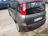  Fiat  Panda 1.0 FireFly 70cv S&S Hybrid #3