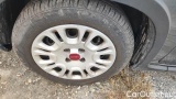 Fiat  Panda 1.0 FireFly 70cv S&S Hybrid #14