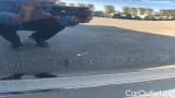  Mercedes  E-Klasse E200d Auto Sport #28