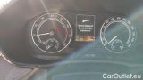  Skoda  Fabia 1.0 MPI Evo 59KW AMBITION #12