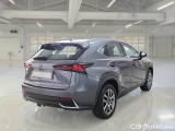 Lexus  NX LEXUS  / 2017 / 5P / SUV HYBRID BUSINESS 4WD #2