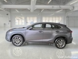 Lexus  NX LEXUS  / 2017 / 5P / SUV HYBRID BUSINESS 4WD #8