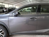 Lexus  NX LEXUS  / 2017 / 5P / SUV HYBRID BUSINESS 4WD #62
