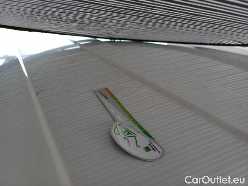 Fiat  Doblo FIAT DOBLÒ CARGO / 2014 / 3P / VETT. FURGONATA CH1 BUSINESS 1.3 MJET 95CV E6D SeS #30