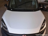 Fiat  Doblo FIAT DOBLÒ CARGO / 2014 / 4P / VETT. FURGONATA MAXI LH1 LOUNGE 1.6 MJET 120CV E6D SeS #21