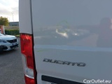 Fiat  Ducato FIAT  2014 FURGONE 33 MH2 2.0 MULTIJET 16V 115CV #65