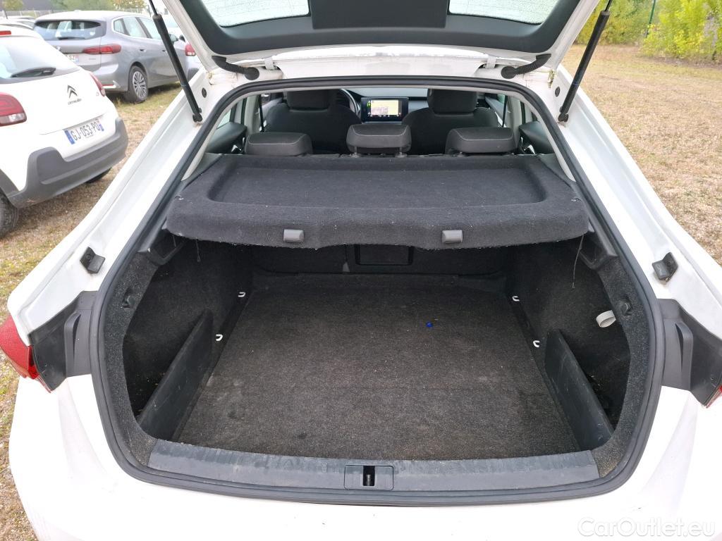 Skoda  Octavia  Berline Business 2.0 TDI 115CV BVM6 E6d #8